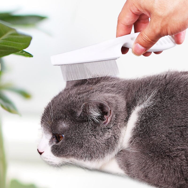 🐾 PROMO SPÉCIALE 🎁 1 ACHETÉ = 1 OFFERT ! 🐶😸 Peigne Animaux Multifonctions – Acier Inox Anti-Puces & Anti-Taches Larmes, Démêlant Doux, Pointes Rondes · Blanc, Bleu, Rose & Vert ✨