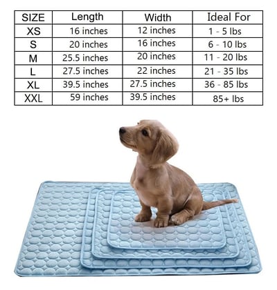 🐶 50 % de réduction 🐱 Tapis rafraîchissant d'été pour animaux de compagnie avec gel rafraîchissant non toxique