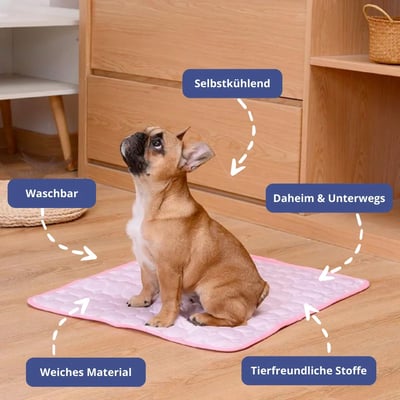 🐶 50 % de réduction 🐱 Tapis rafraîchissant d'été pour animaux de compagnie avec gel rafraîchissant non toxique
