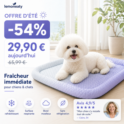 🐾Coussin rafraîchissant 3D pour chiens et chats – Nid doux en perles de gel, matelas à air pour été, tissu respirant, fraîcheur naturelle sans excès💤❄️