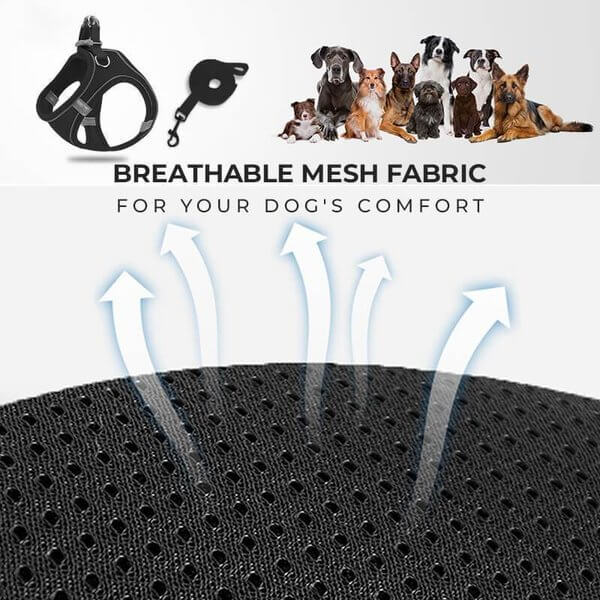 🐾 50% DE RÉDUCTION 🦺 Harnais réfléchissant une pièce – Respirant, rembourré & sécurisé – Pour chiens & chats – fermeture facile, ajustement confortable – idéal pour les promenades nocturnes 🌙