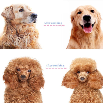 🐾 PROMO LIMITÉE 56% DE RÉDUCTION ! ✨ Brosse Démêlante pour Chats et Chiens – Professionnel, Double Face ✨