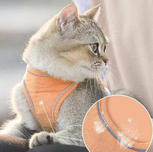 🐾 50% DE RÉDUCTION 🦺 Harnais réfléchissant une pièce – Respirant, rembourré & sécurisé – Pour chiens & chats – fermeture facile, ajustement confortable – idéal pour les promenades nocturnes 🌙