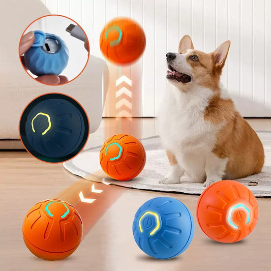 ⏳🥎 Offre à durée limitée ! 50 % de réduction ! Jouet interactif pour animaux de compagnie – Balle automatique qui roule toute seule