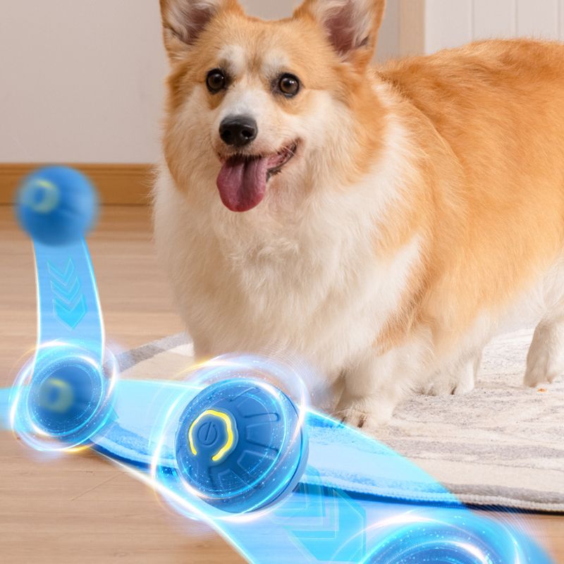 ⏳🥎 Offre à durée limitée ! 50 % de réduction ! Jouet interactif pour animaux de compagnie – Balle automatique qui roule toute seule