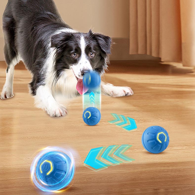 ⏳🥎 Offre à durée limitée ! 50 % de réduction ! Jouet interactif pour animaux de compagnie – Balle automatique qui roule toute seule