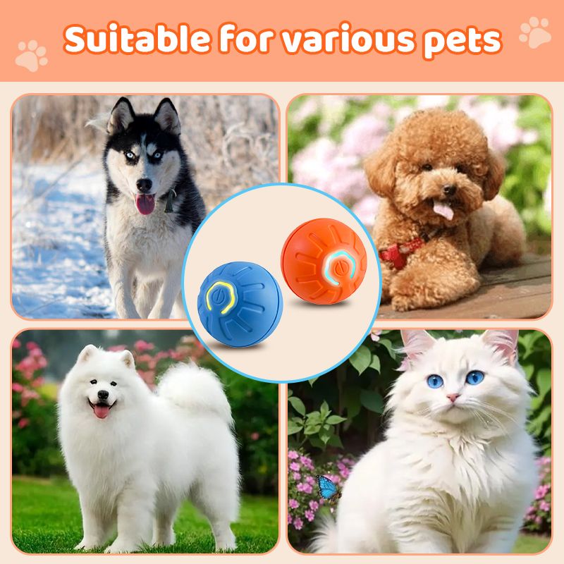 ⏳🥎 Offre à durée limitée ! 50 % de réduction ! Jouet interactif pour animaux de compagnie – Balle automatique qui roule toute seule