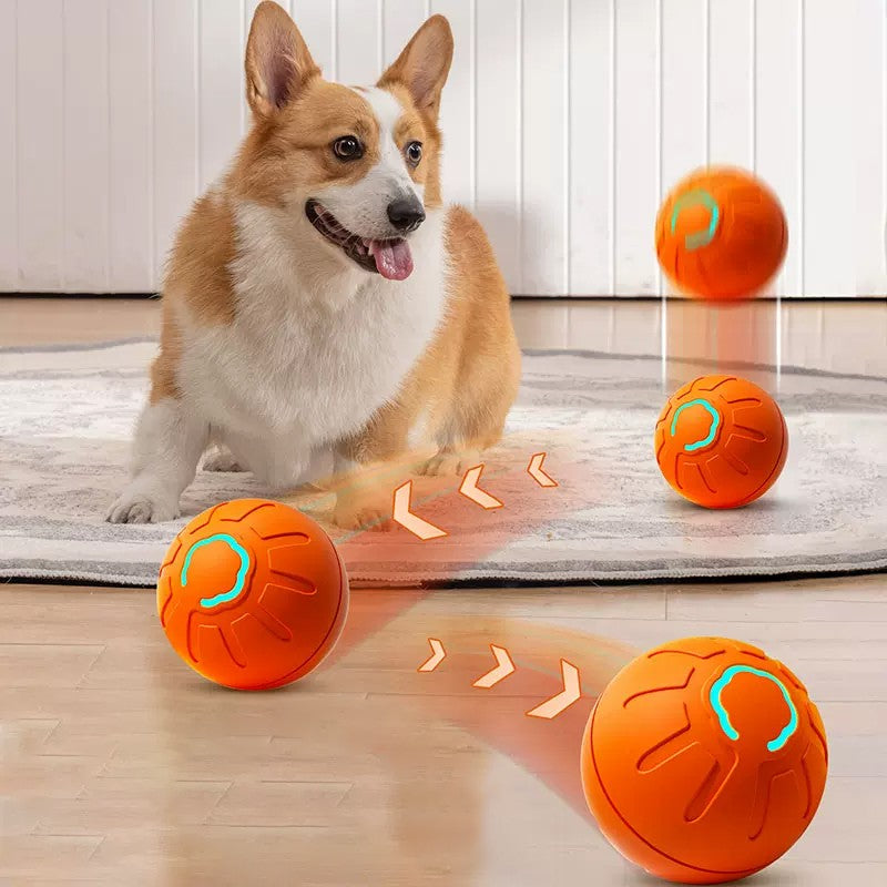 ⏳🥎 Offre à durée limitée ! 50 % de réduction ! Jouet interactif pour animaux de compagnie – Balle automatique qui roule toute seule