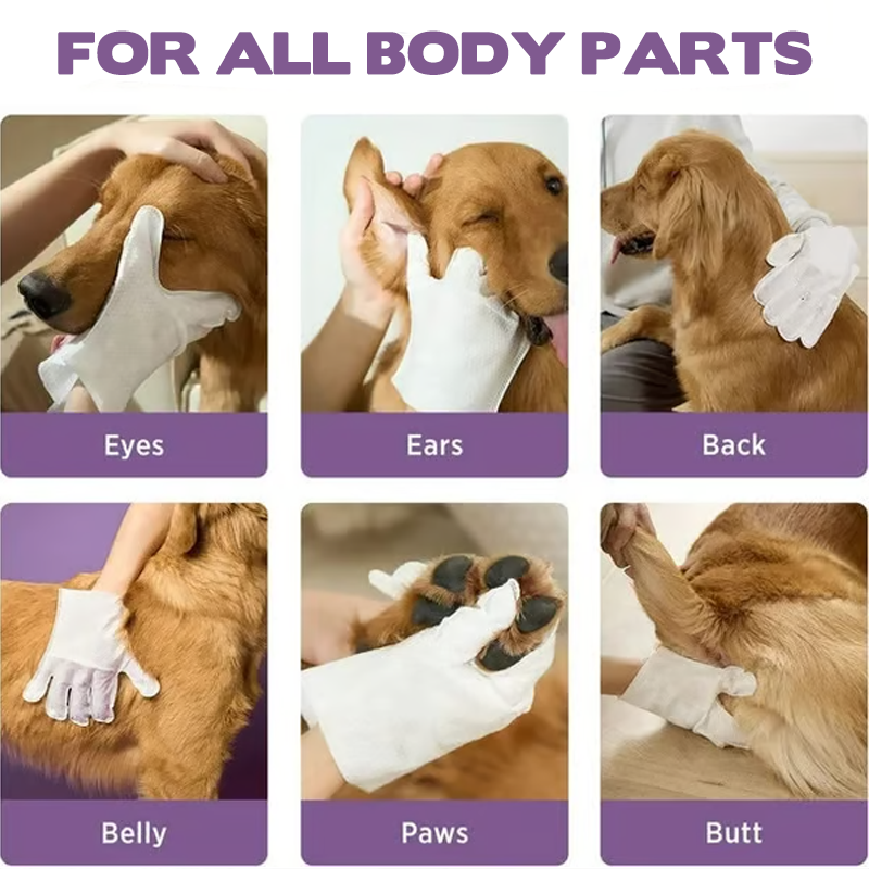 🔥VENTE LIMITÉE 50 % DE RÉDUCTION🔥Gants de toilettage sans rinçage pour animaux domestiques avec effet neutralisant les odeurs