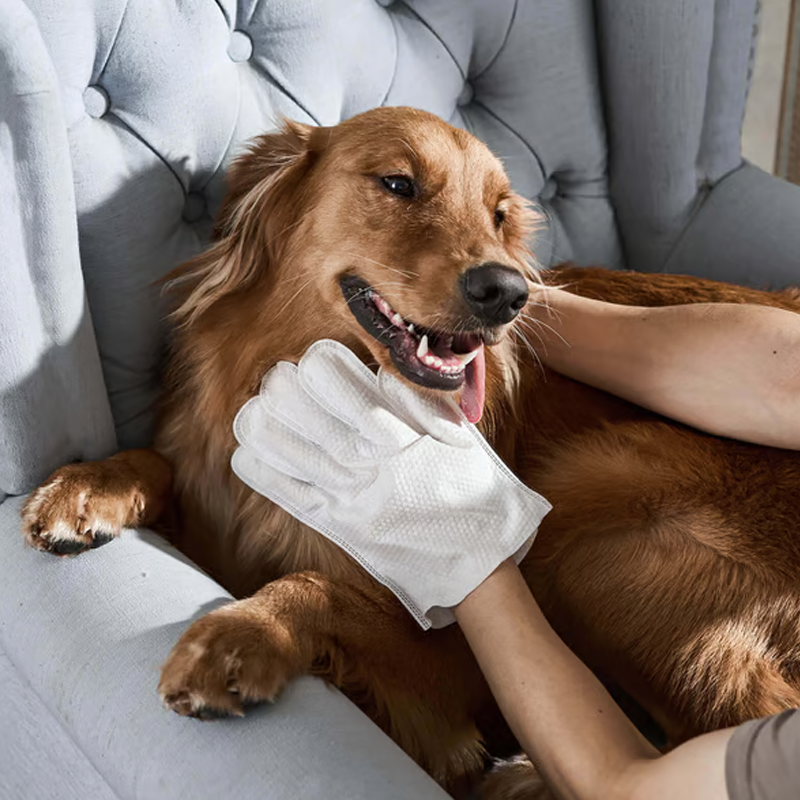 🔥VENTE LIMITÉE 50 % DE RÉDUCTION🔥Gants de toilettage sans rinçage pour animaux domestiques avec effet neutralisant les odeurs