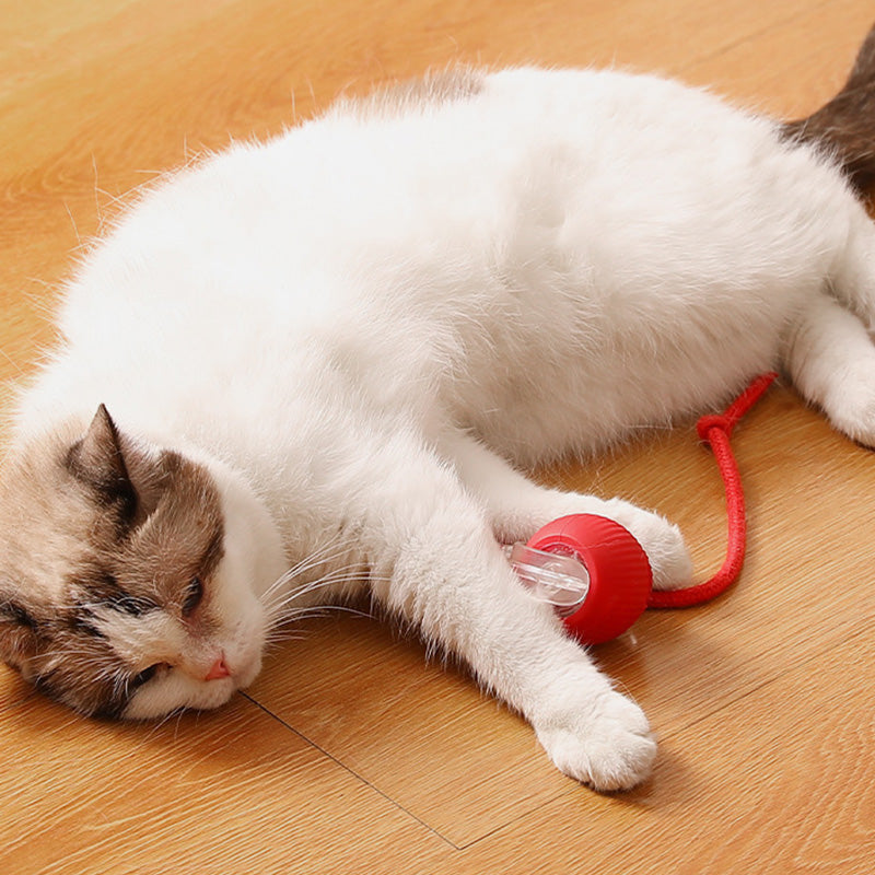 🔥VENTE LIMITÉE 50 % DE RÉDUCTION🔥Boule Roulante Automatique Intelligente pour Animaux de Compagnie