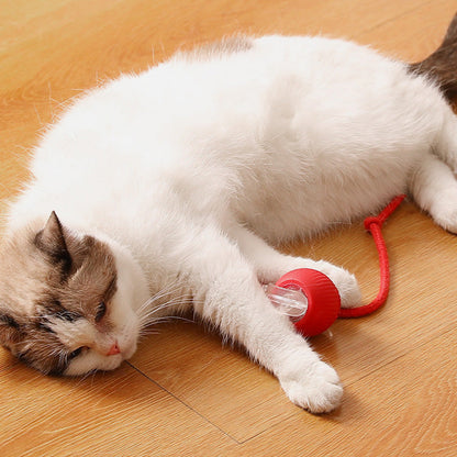 🔥VENTE LIMITÉE 50 % DE RÉDUCTION🔥Boule Roulante Automatique Intelligente pour Animaux de Compagnie