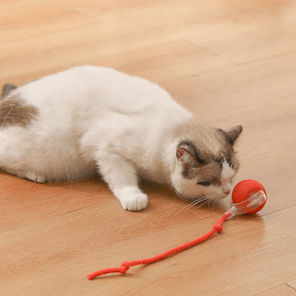 🔥VENTE LIMITÉE 50 % DE RÉDUCTION🔥Boule Roulante Automatique Intelligente pour Animaux de Compagnie