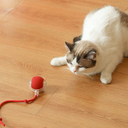 🔥VENTE LIMITÉE 50 % DE RÉDUCTION🔥Boule Roulante Automatique Intelligente pour Animaux de Compagnie