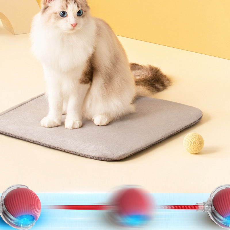 🔥VENTE LIMITÉE 50 % DE RÉDUCTION🔥Boule Roulante Automatique Intelligente pour Animaux de Compagnie