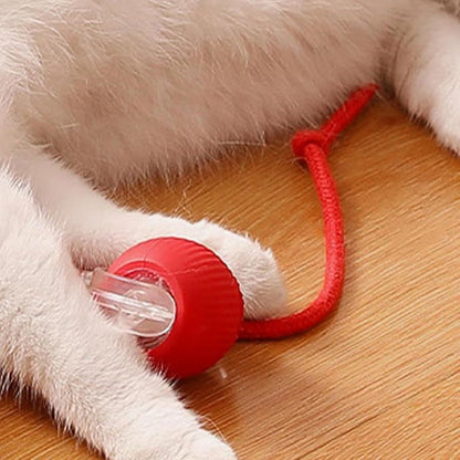 🔥VENTE LIMITÉE 50 % DE RÉDUCTION🔥Boule Roulante Automatique Intelligente pour Animaux de Compagnie