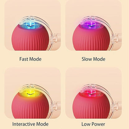 🔥VENTE LIMITÉE 50 % DE RÉDUCTION🔥Boule Roulante Automatique Intelligente pour Animaux de Compagnie