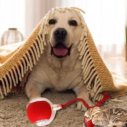 🔥VENTE LIMITÉE 50 % DE RÉDUCTION🔥Boule Roulante Automatique Intelligente pour Animaux de Compagnie