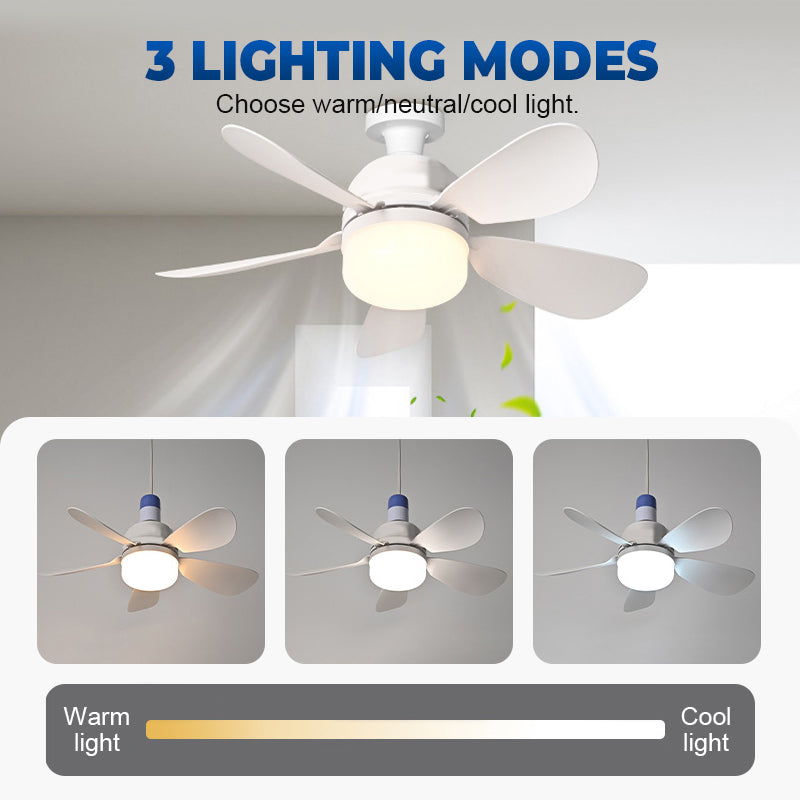 🌬️🏠 DERNIER JOUR 55% ! Ventilateur Plafond 2-en-1 avec LED – 3 Couleurs de Lumière, 4 Vitesses, Télécommande, Installation Facile, Parfait pour Petites Pièces 💡