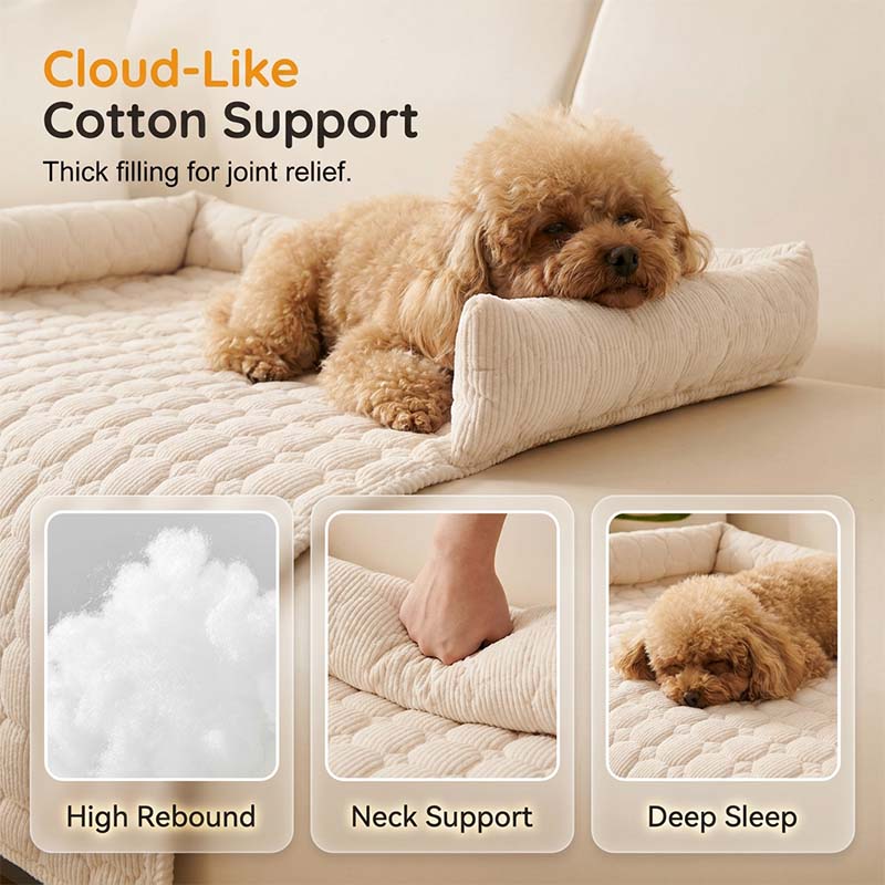 🐾 -50% MAINTENANT ! 🐾 Housse de Canapé pour Chien 🛋️ Imperméable & Anti-Rayures 🛡️ Bord Renforcé 🧸 Beige