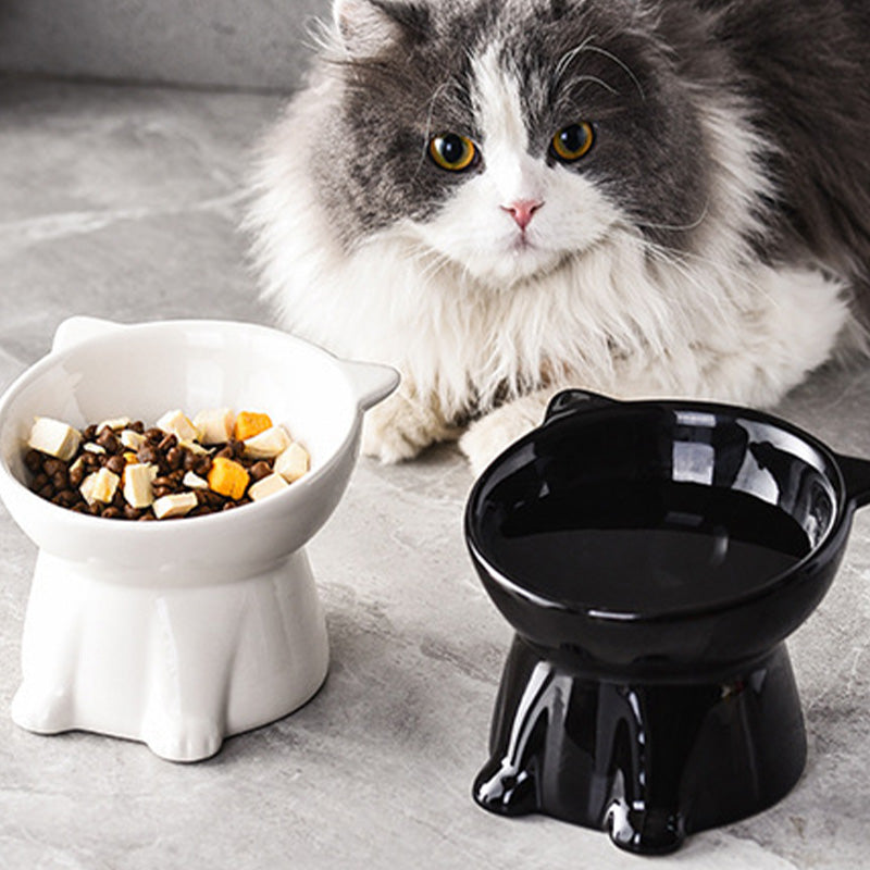 🐱Dernier jour pour l'offre spéciale ! 50 % de réduction ! 🔥 Gamelle surélevée ergonomique en plastique pour chat