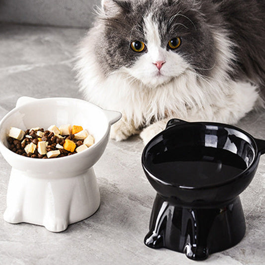 🐱Dernier jour pour l'offre spéciale ! 50 % de réduction ! 🔥 Gamelle surélevée ergonomique en plastique pour chat