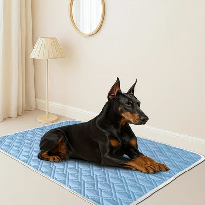 📢Offrez la fraîcheur à vos boules de poils avec notre tapis léger et ultra-facile à nettoyer ! 🐶❄️🐱
